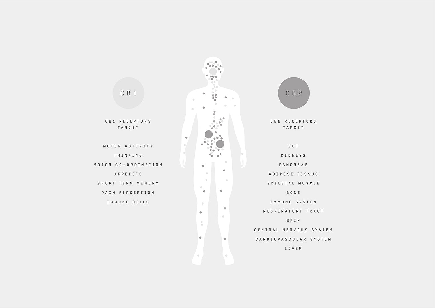 The Endocannabinoid System, Explained