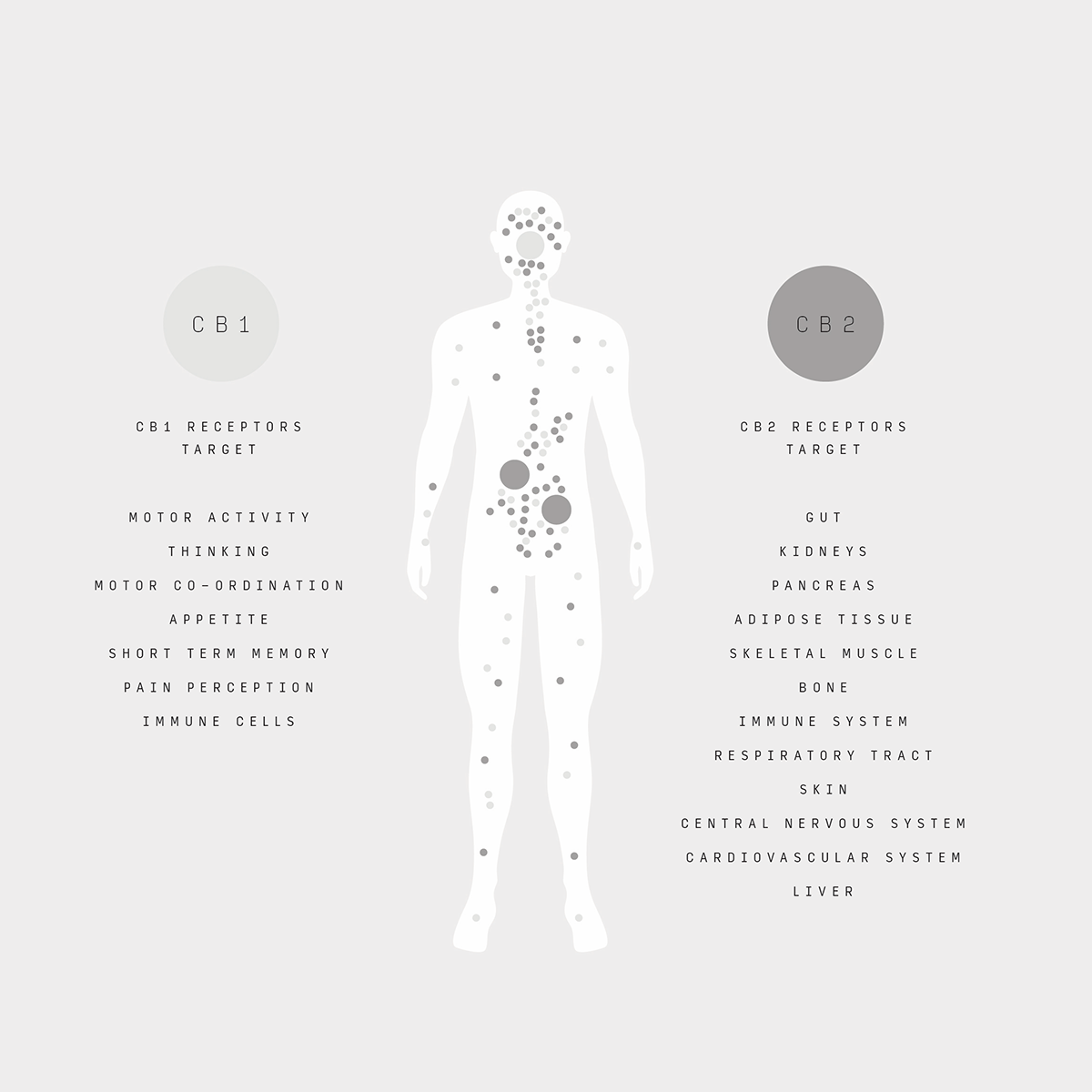 The Endocannabinoid System CB1 and CB2 Receptor Diagram